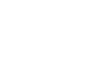 hôtel Palissandre Madagascar logo blanc
