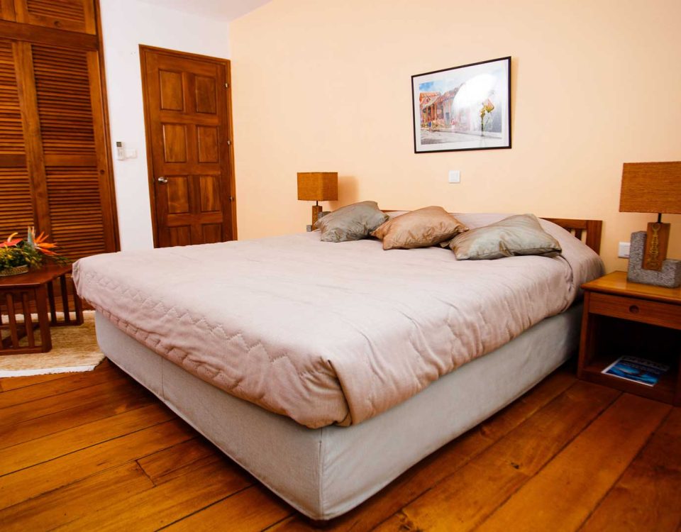 Suite junior de l'hôtel Palissandre Antananarivo, Madagascar